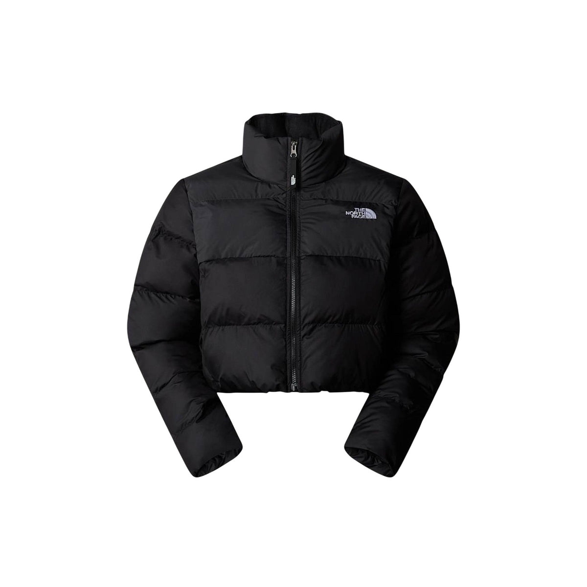 The North Face Femme Vestes