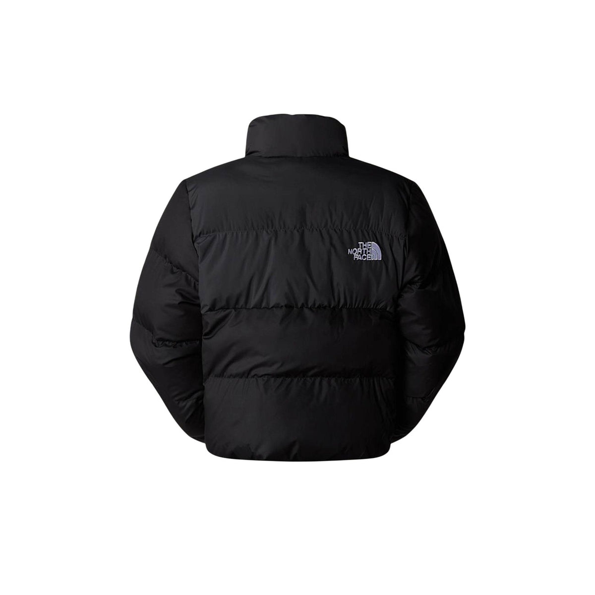 The North Face Femme Vestes